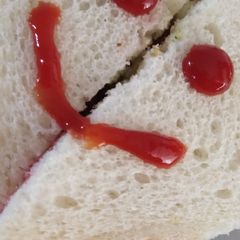 A picture of Vegetable Sandwich.
