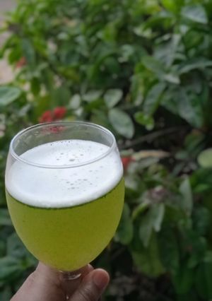 A picture of Mint Margarita.