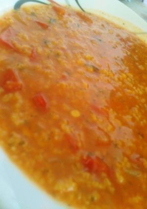 عکسی از دستور شیله