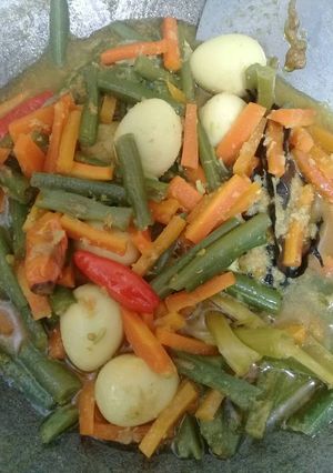 Foto resep Opor sayur dan telur puyuh (bisa buat sikecil ank saya 13 bulan)
