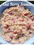 Oat Berry Santan mpasi