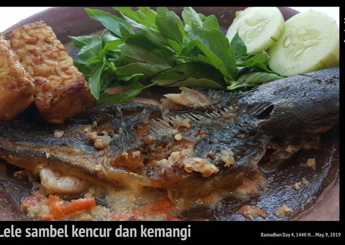 Cara Bikin Lele sambel kencur dan kemangi Untuk Pemula