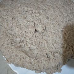 A picture of Ugali sorghum.