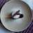 Choco Lava Cake
