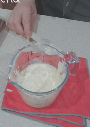 Foto principal de Mayonesa de Kombucha