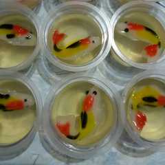 รูปของ Puding ikan koi