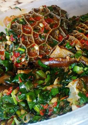 A picture of Fresh okro and ugu soup.