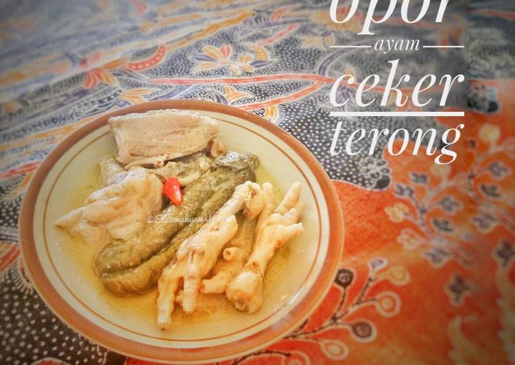 Opor ayam plus terong dan ceker