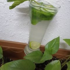 A picture of Detox Water.