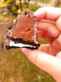 Conitos de oreo