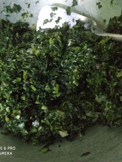 Foto resep Tumis pucuk ubi daun kencur (daun singkong)