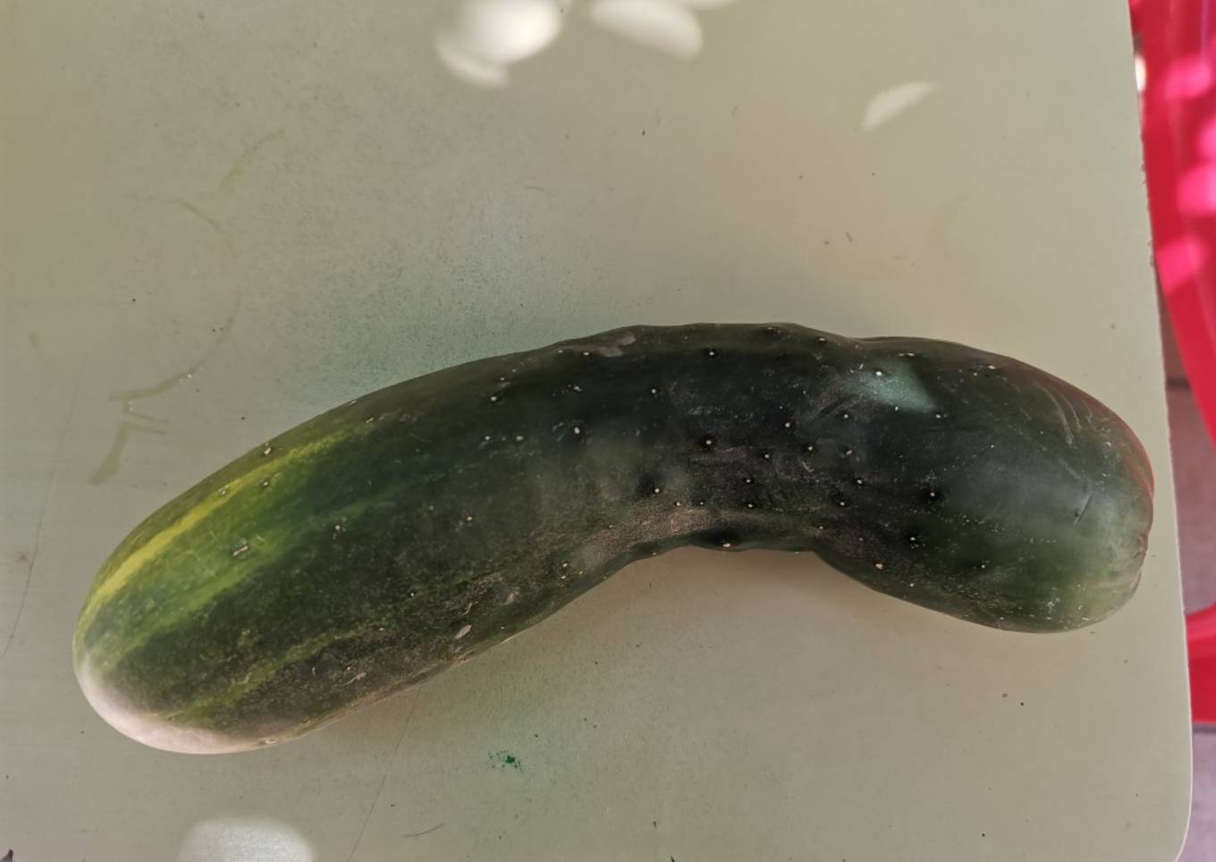 Sopa fría de pepino con yogur griego 🥒🥒🥒