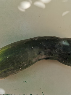 Una foto de Sopa fría de pepino con yogur griego 🥒🥒🥒