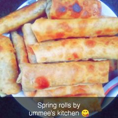 Spring Rolls A picture of Spring Rolls.