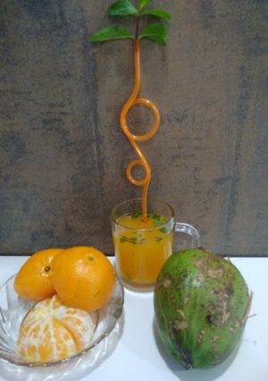 ઓરેન્જ સ્ક્વોશ (Orange squash Recipe in Gujarati) રેસીપી મુખ્ય ફોટો