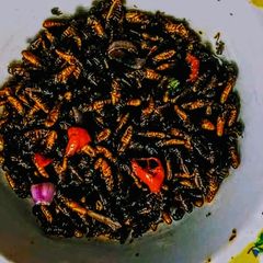 A picture of Fried termite.