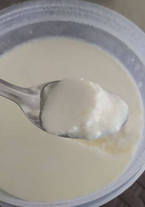 Foto resep Yogurt Home Made