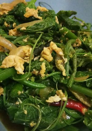 Foto resep Tumis pucuk labu saos tiram
