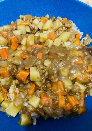豬肉咖哩飯 的食譜成品照片