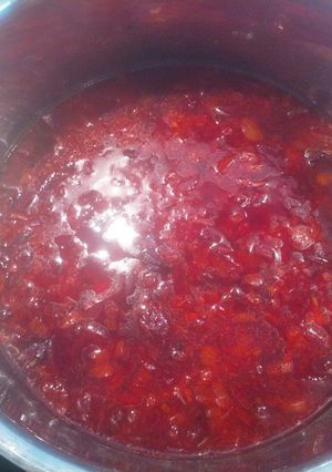 A picture of Russian(ish) beetroot and bean soup.