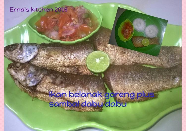 Bahan Menyiapkan Ikan belanak goreng plus sambal dabu dabu Lezat