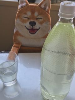 A picture of Japanese Soup Stock (Dashi).