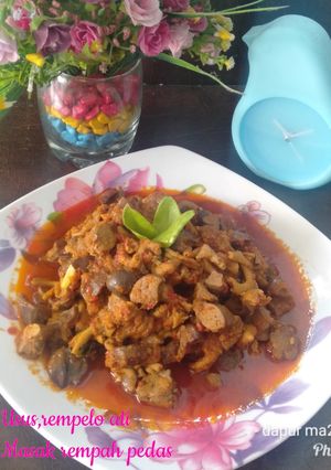 Foto resep Usus,rempelo ati masak rempah pedas