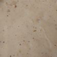 Bechamel