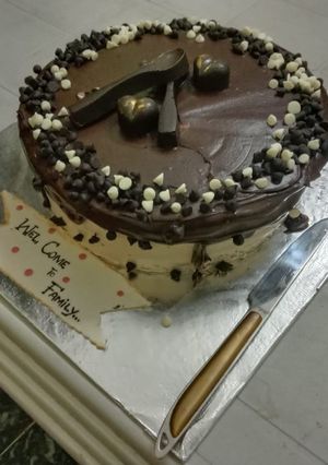 A picture of Chocolate chip cake.