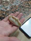 Gyozas