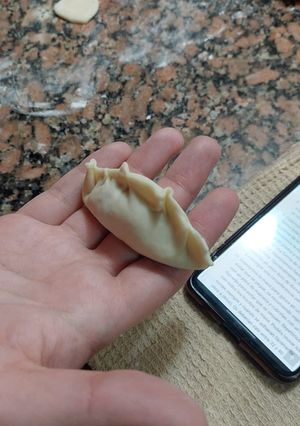 Una foto de Gyozas