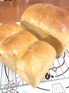 Foto resep Whole wheat bread