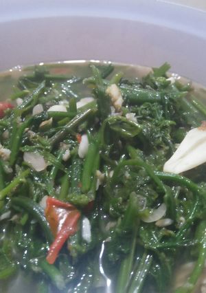 Foto resep Tumis Pakis