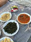 خبيزة الحاكورة
