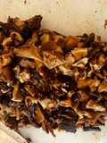 Dried mushroom Duxelles