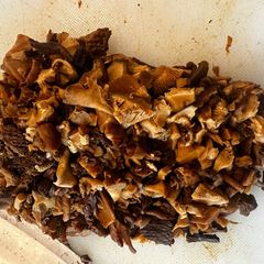 A picture of Dried mushroom Duxelles.