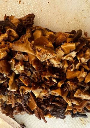 A picture of Dried mushroom Duxelles.