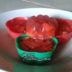Puding Pepaya রেসিপির প্রধান ছবি