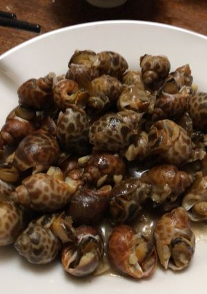 炒鳳螺 的食譜成品照片