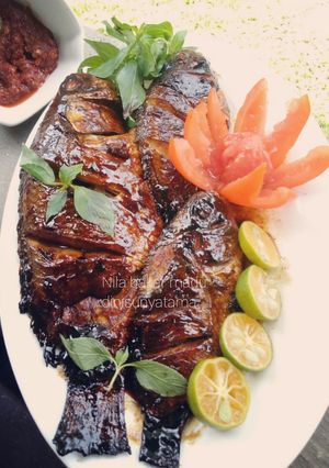 Foto resep Nila bakar madu simple