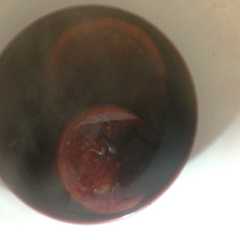 A picture of Vino navegado 🍷.