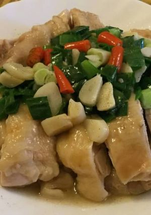 蔥油雞 的食譜成品照片