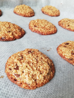 Una foto de Galletas de Avena y Chocolate Sin Gluten