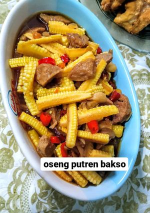 Foto resep Oseng-Oseng Putren Bakso