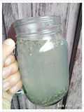 Perasaan Jeruk Lemon & Chiaa Seed