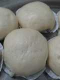 Pawa (Bapao) Coklat Seres