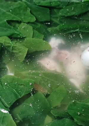 Hình của món Canh mồng tơi nấu mực.