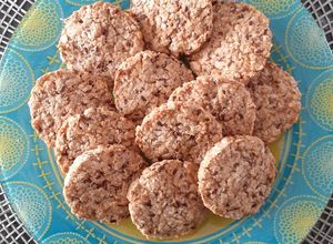 Une photo de Biscuits aux Flocons D'avoine, G. de Lin et Vanille / Healthy
