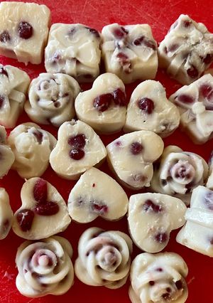 A picture of Frozen Yogurt Pomegranate bite.