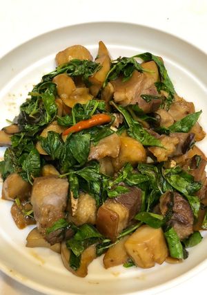 三杯羊肉排骨+杏鮑菇 的食譜成品照片